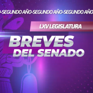 Breves del Senado de la República