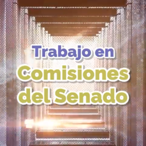 Trabajo en Comisiones del Senado