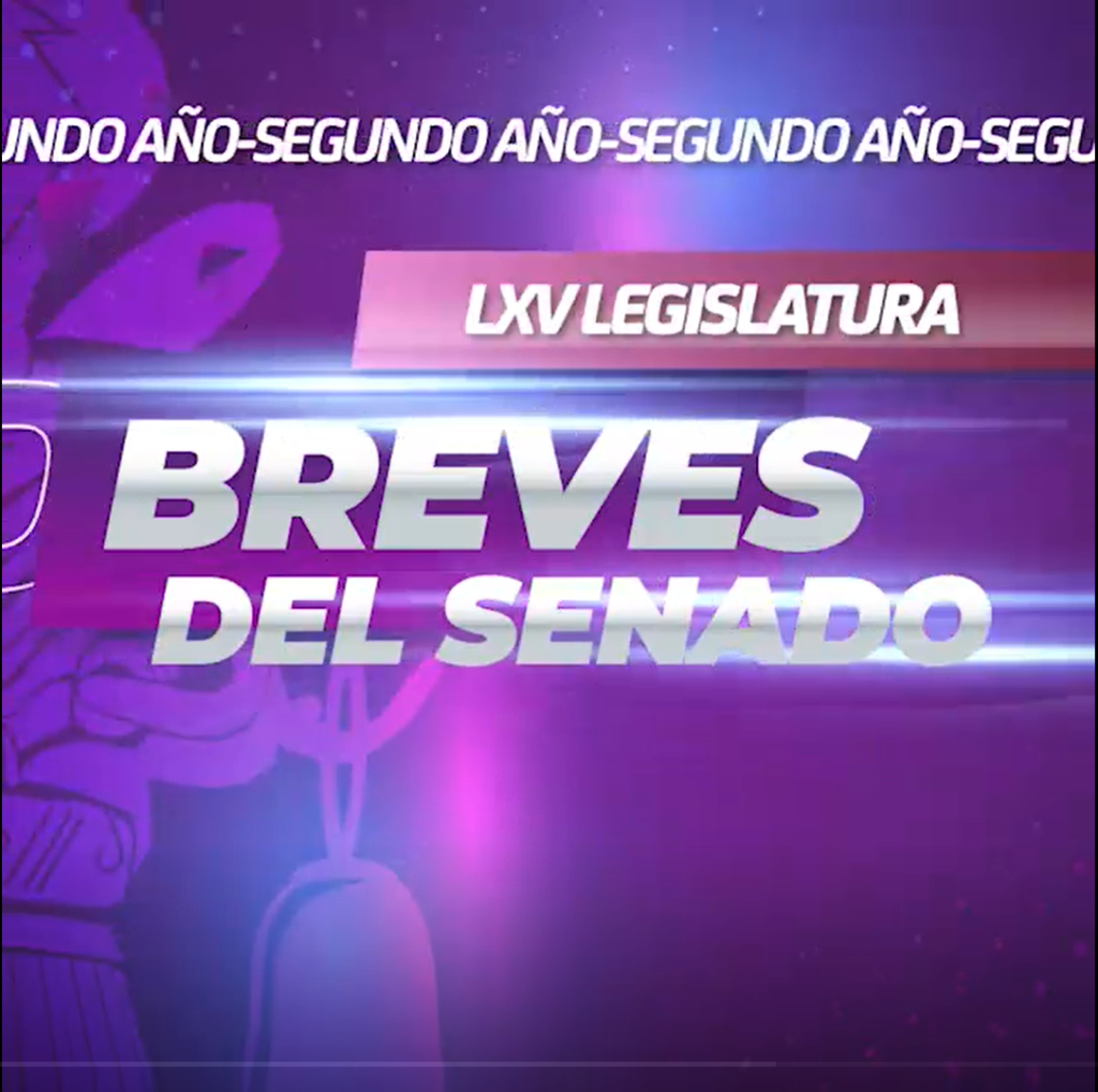 Breves del Senado 13