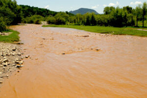 Río Sonora