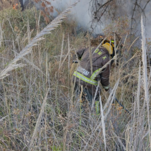 Instituciones capitalinas se coordinan para combatir incendios forestales CDMX