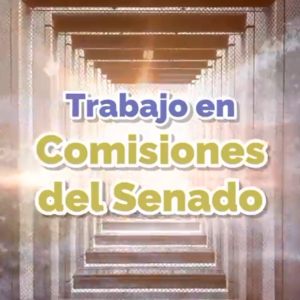 Trabajo en Comisiones unidas