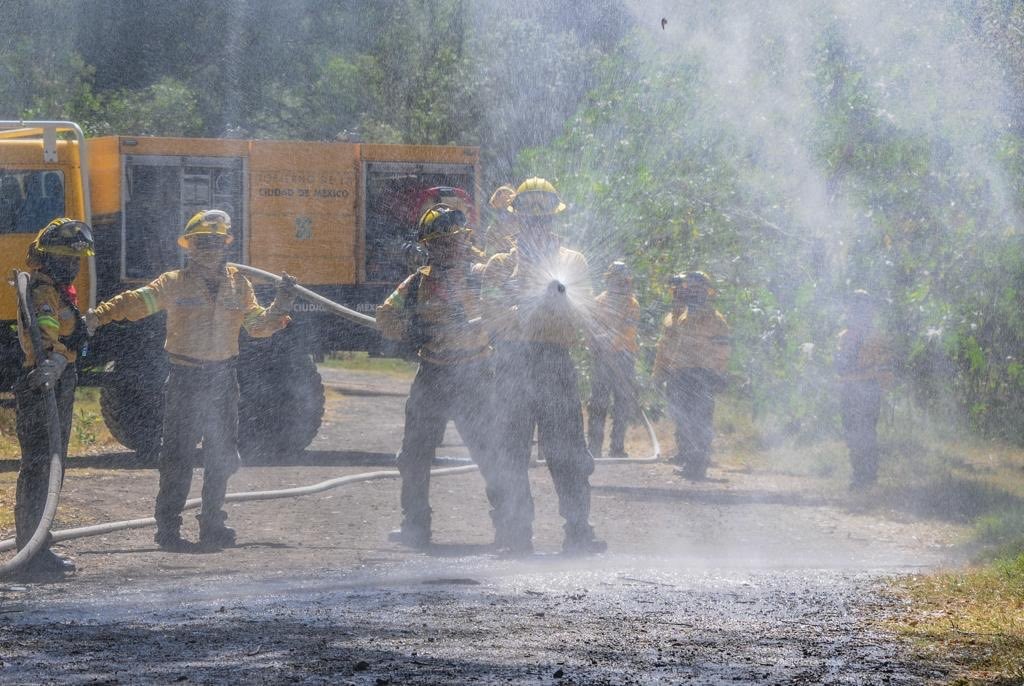 Combaten brigadistas 592 incendios forestales-Imagen UNAM