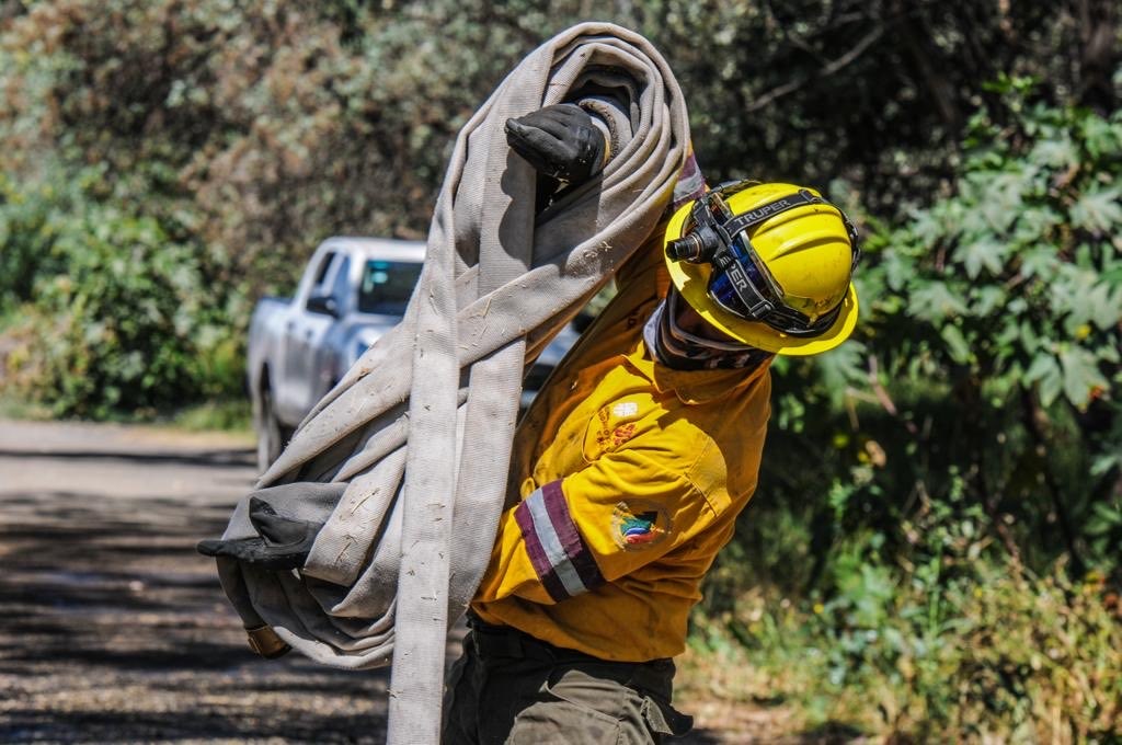 Combaten brigadistas 592 incendios forestales-Imagen UNAM