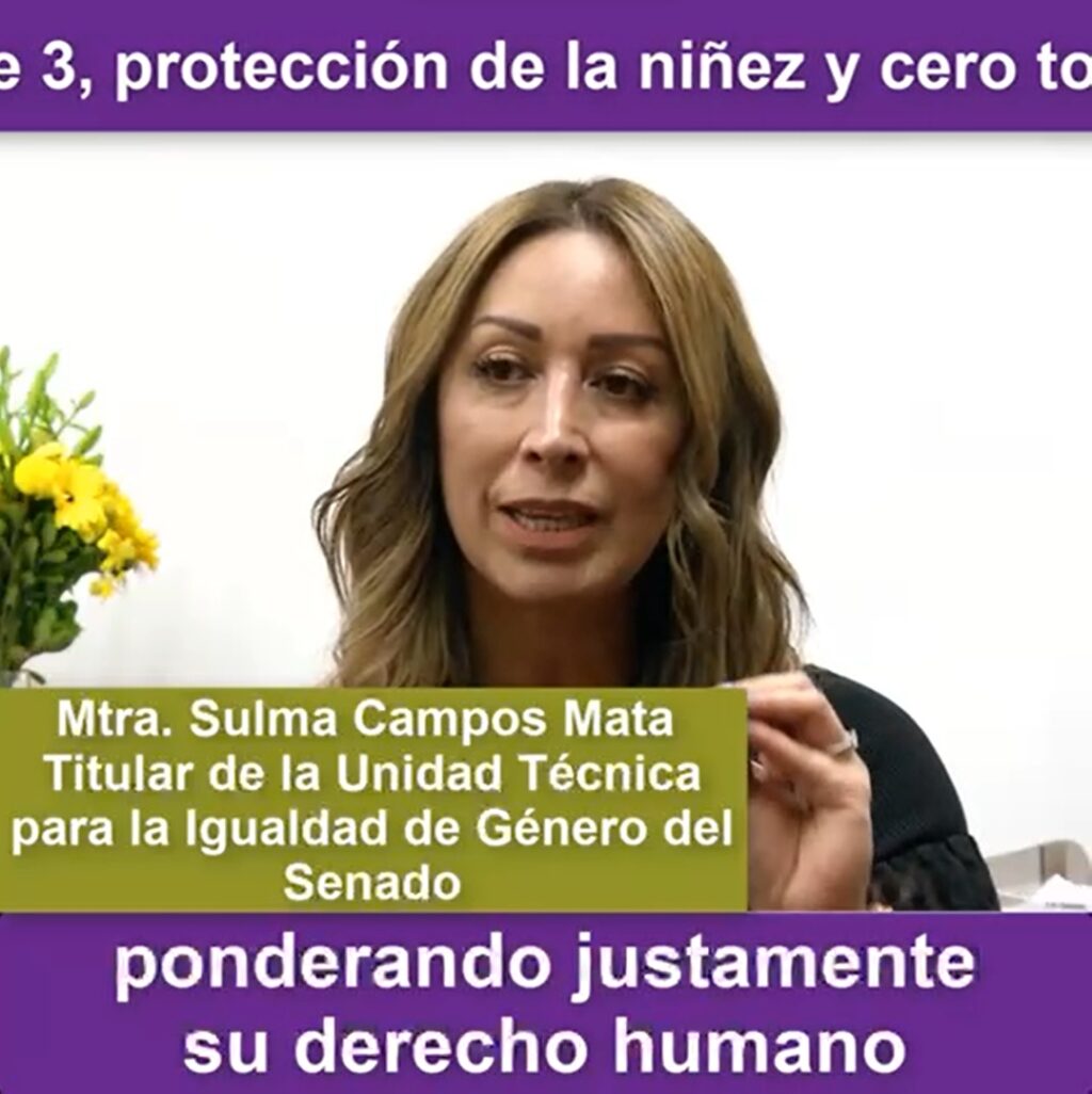 "Ley 3 de 3", cero tolerancia a la violencia contra las mujeres