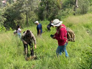 Reforesta SEDEMA barrancas de la Ciudad de México 2