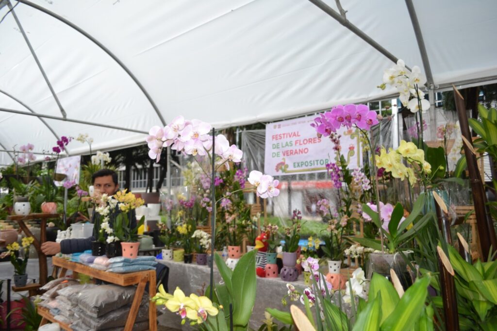 Festival de las Flores de Verano 2023 generó una derrama económica de 4 mdp