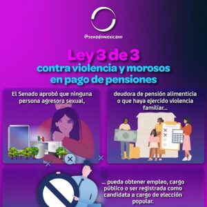 Un servicio público sin agresores sexuales, "Ley 3 de 3"