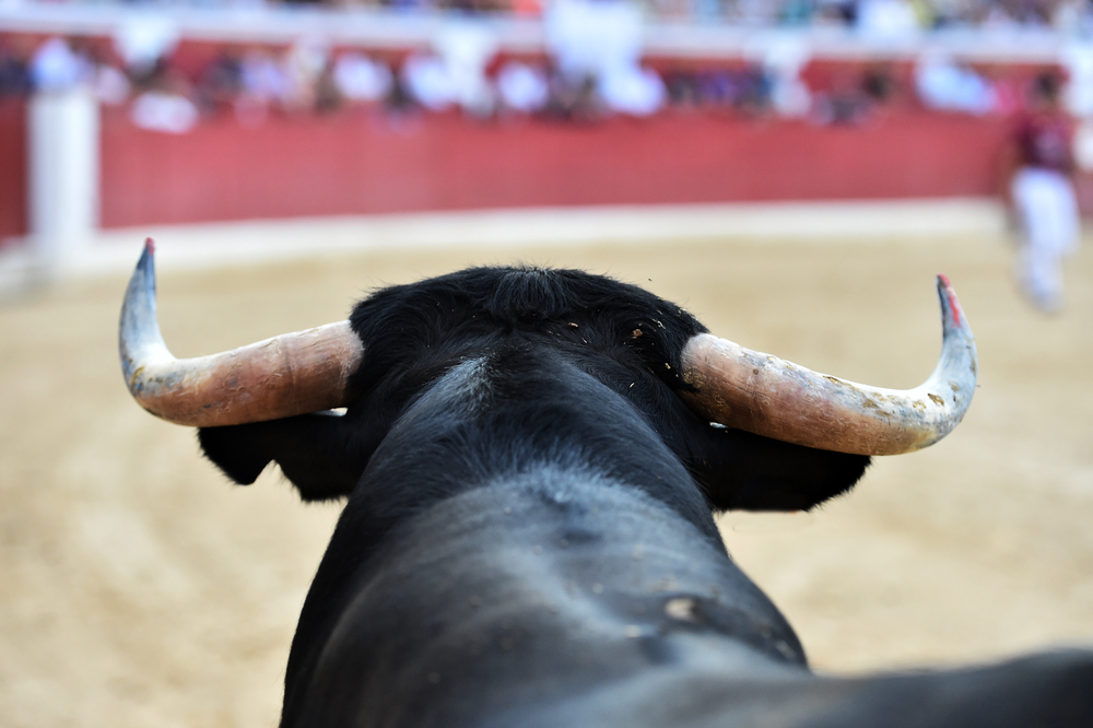 Plantean en el Senado no permitir entrada de menores a corridas de toros 