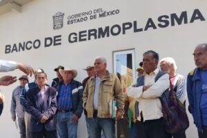 Banco de Germoplasma ofrece sus servicios a los productores mexiquenses