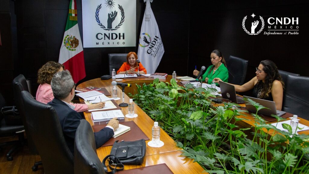 CNDH se reúne con Misión de la OEA de cara a las elecciones