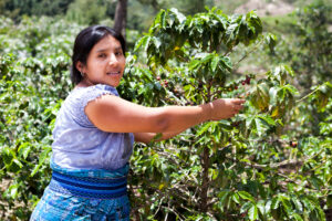 Celebra Ana Lilia Rivera reinicio de inspección a empacadoras de aguacate