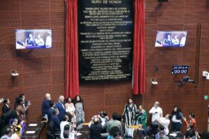 Senado rinde homenaje a Pueblos Indígenas y Afromexicanos