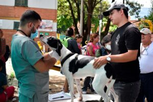 Esterilizaciones