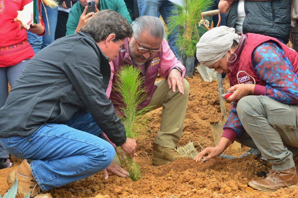 Gobierno Edoméx pone en marcha Plan de Restauración Forestal