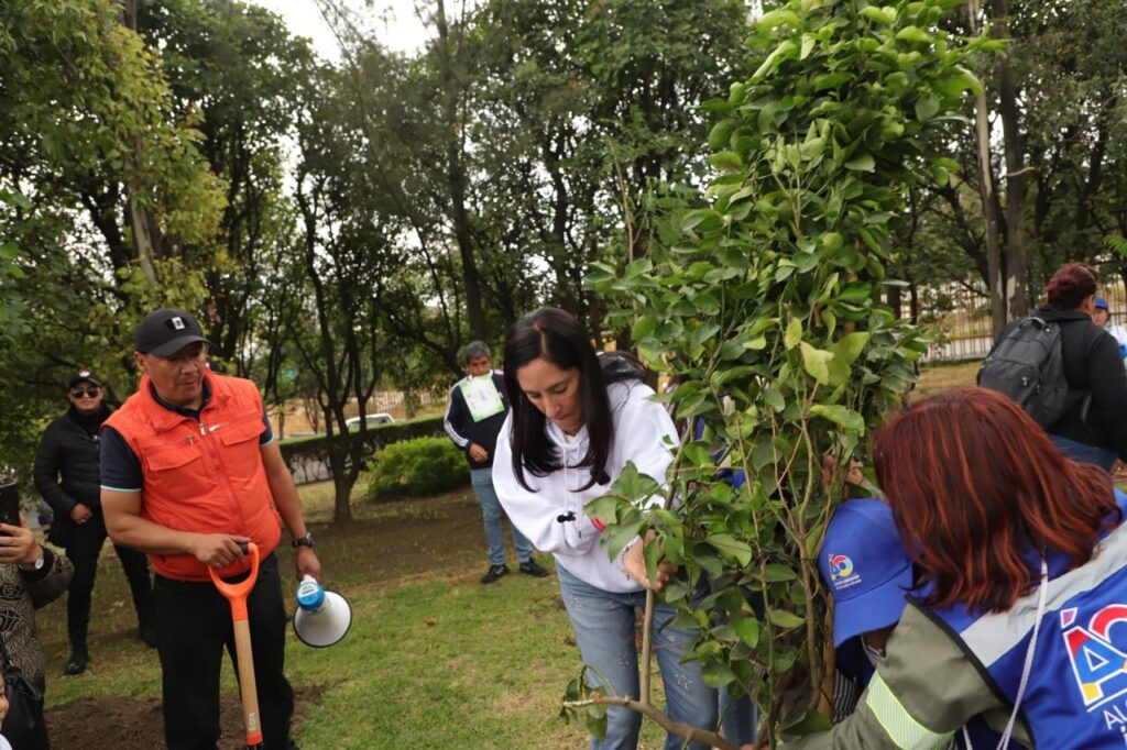 Anuncia Lía Limón 3ra Jornada Anual de Reforestación en ÁO