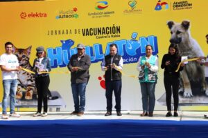 Más de 47 mil mascotas fueron atendidas en Álvaro Obregón