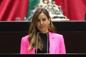 Propuesta de Reforma Constitucional para incluir tentativa de feminicidio en el Artículo 19