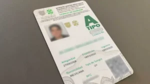 Licencia Permanente