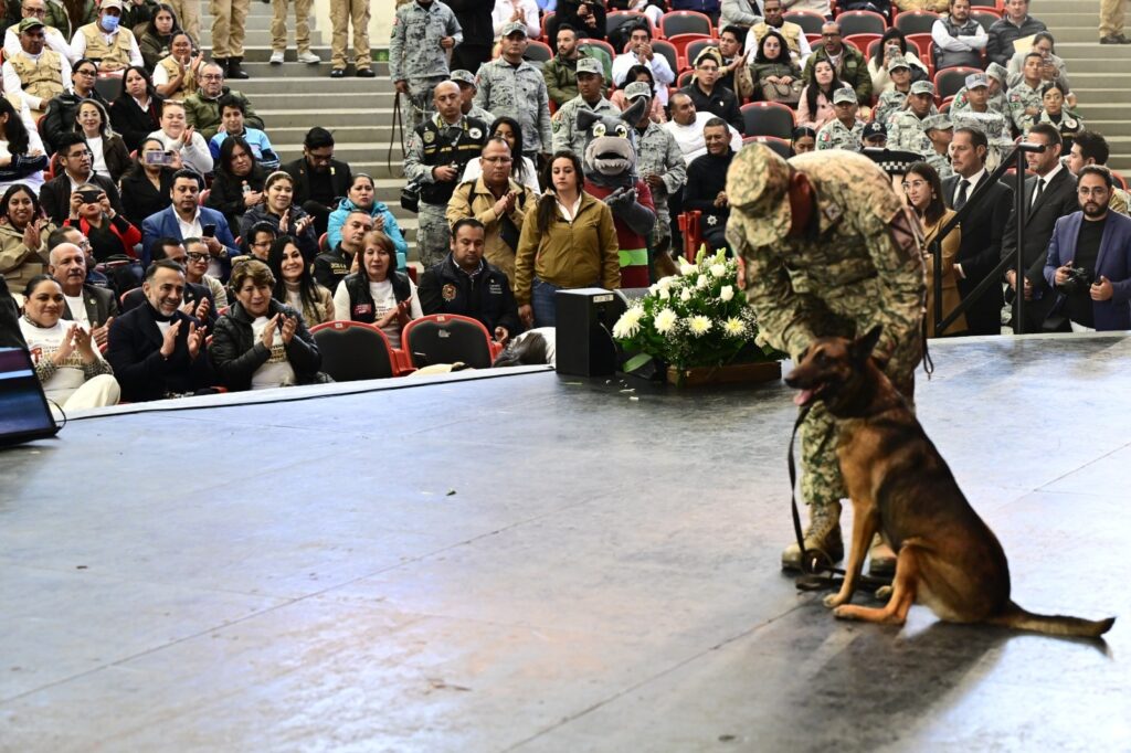 Edoméx lidera el bienestar animal: comprometido con los seres sintientes