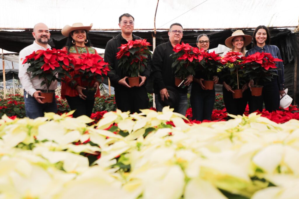 Arranca el Festival de Nochebuena 2024 en Xochimilco