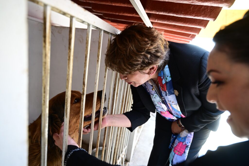 Delfina Gómez visita la Clínica Veterinaria de Amecameca