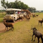 Reino Animal recibe Nivel Diamante por su compromiso ambiental 