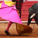 Diputada Sánchez Barrios respalda iniciativa para prohibir las corridas de toros en CDMX 