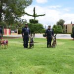 El Edoméx cuida a sus perros policías retirados en un centro geriátrico 