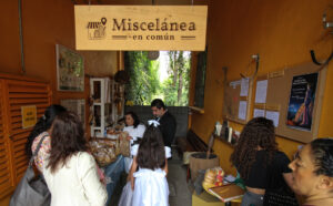 ¡Bellas Artes celebra el Día Internacional de los Museos!