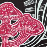 “Geografía de las plantas”: arte y ciencia Escuela de Iniciación Artística