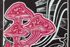 “Geografía de las plantas”: arte y ciencia Escuela de Iniciación Artística