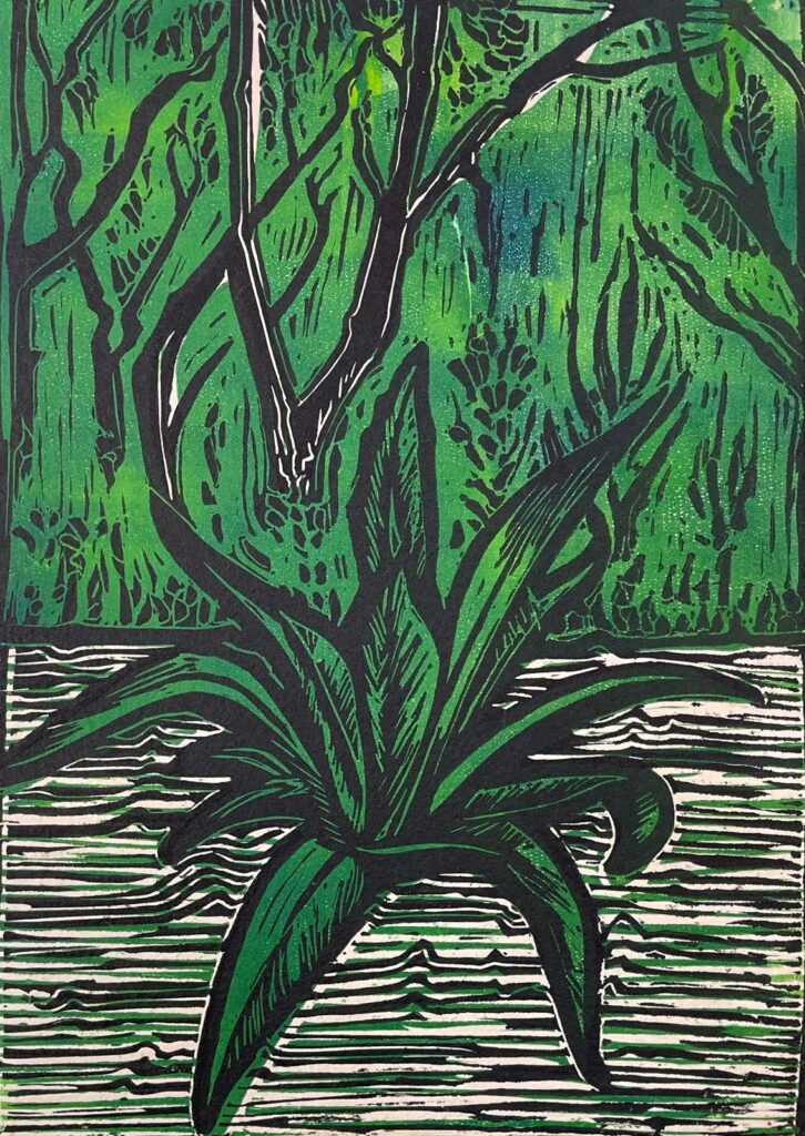 “Geografía de las plantas”: arte y ciencia Escuela de Iniciación Artística