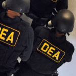 DEA alerta presencia de 7 cárteles en CDMX 