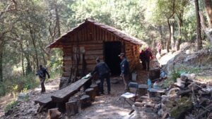 Los Dinamos: estrategia conjunta refuerza defensa de área natural clave en la CDMX