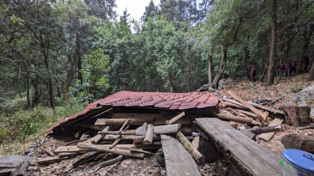 Los Dinamos: estrategia conjunta refuerza defensa de área natural clave en la CDMX
