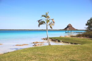 Bacalar