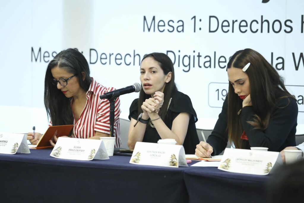 Debaten en el Senado futuro de los derechos digitales