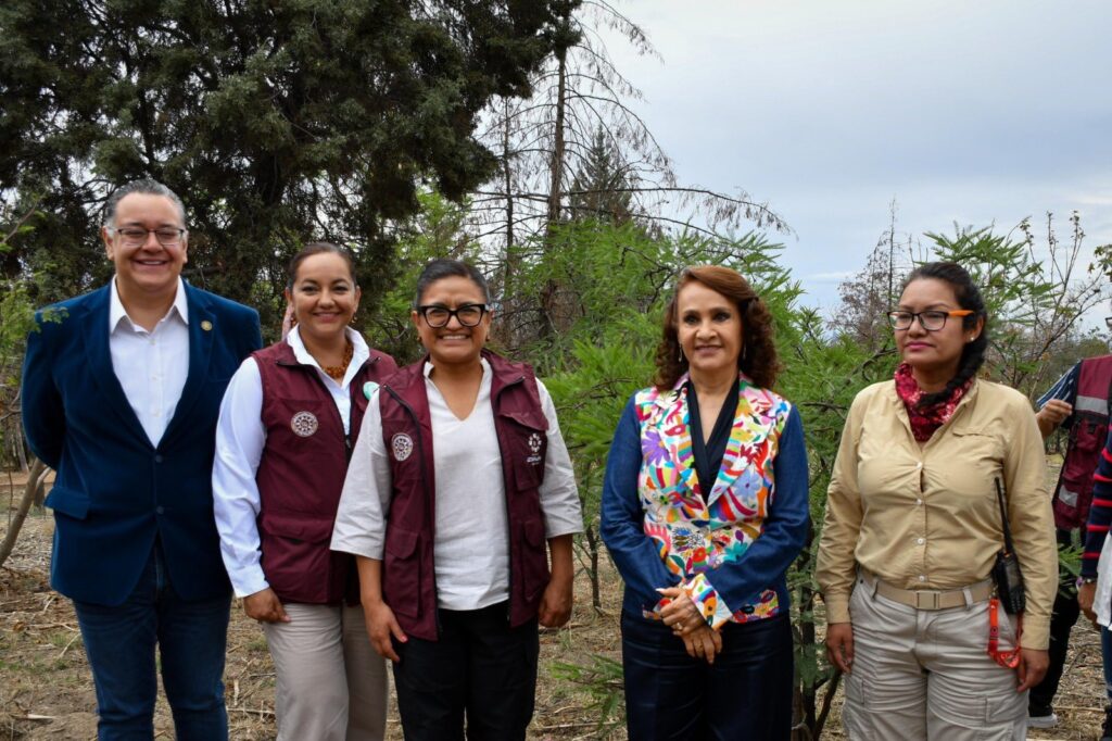Lanzan proyecto integral para conservar el Cerro de la Estrella
