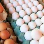 México suspende importación de productos avícolas de Brasil por brote de gripe aviar