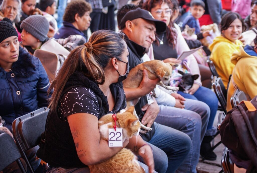 Caravana por el Bienestar Animal llega a Tonatico