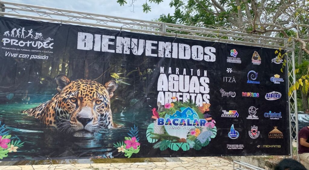 Bacalar