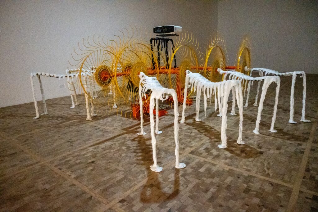 exposición