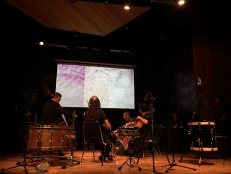 Mice Corpus rinde homenaje a Robert Ashley en Ex Teresa Arte Actual