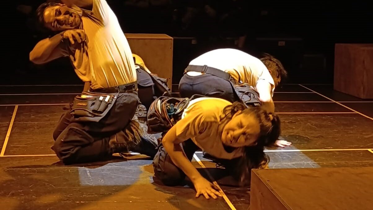 “El chico que quiso volar con alas de insecto” llega al Teatro El Galeón