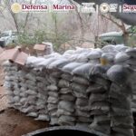 Desmantelan narcolaboratorio con precursores químicos en Michoacán 