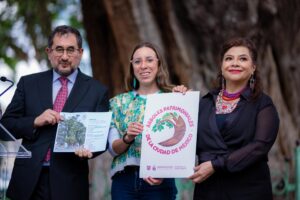 Brugada declara Patrimonio Natural a 12 árboles monumentales de la CDMX