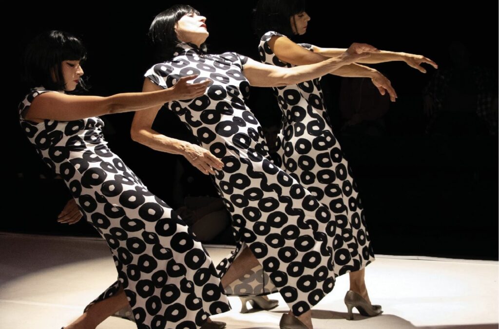 “Diversas Danzas, Diversos Cuerpos”: el arte del movimiento toma el Palacio de Bellas