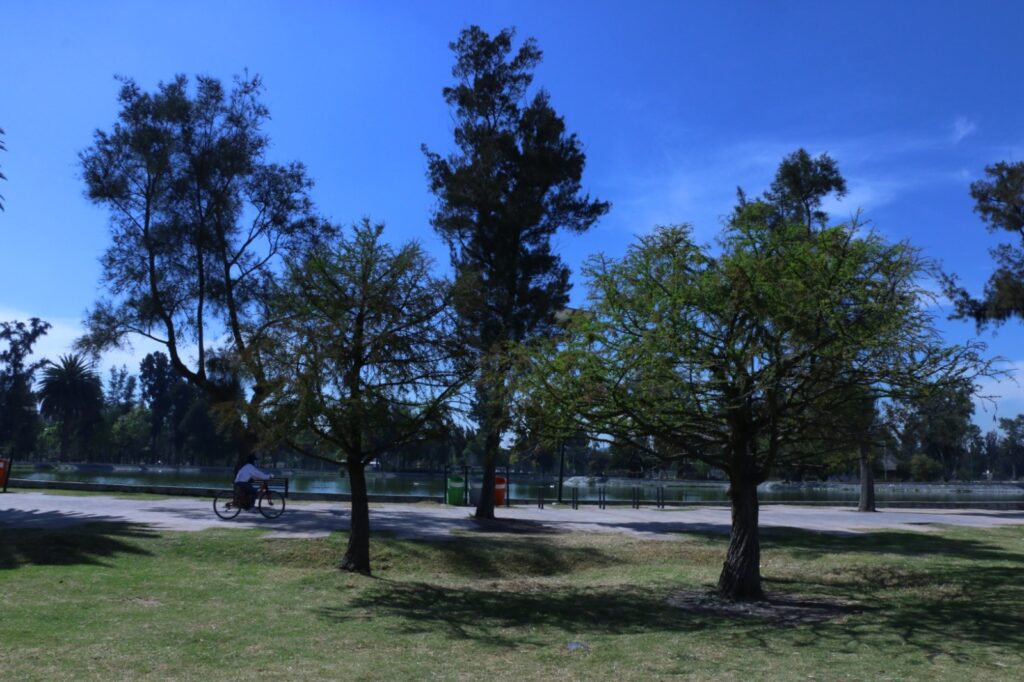 Feria del Medio Ambiente llega al Bosque de San Juan de Aragón