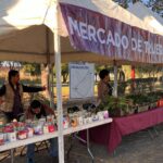 Regresa el Mercado de Trueque a San Juan de Aragón